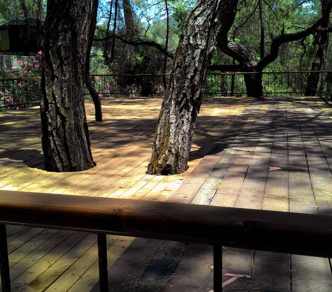 Yoga Area- Olympos Angels Garden Hotel